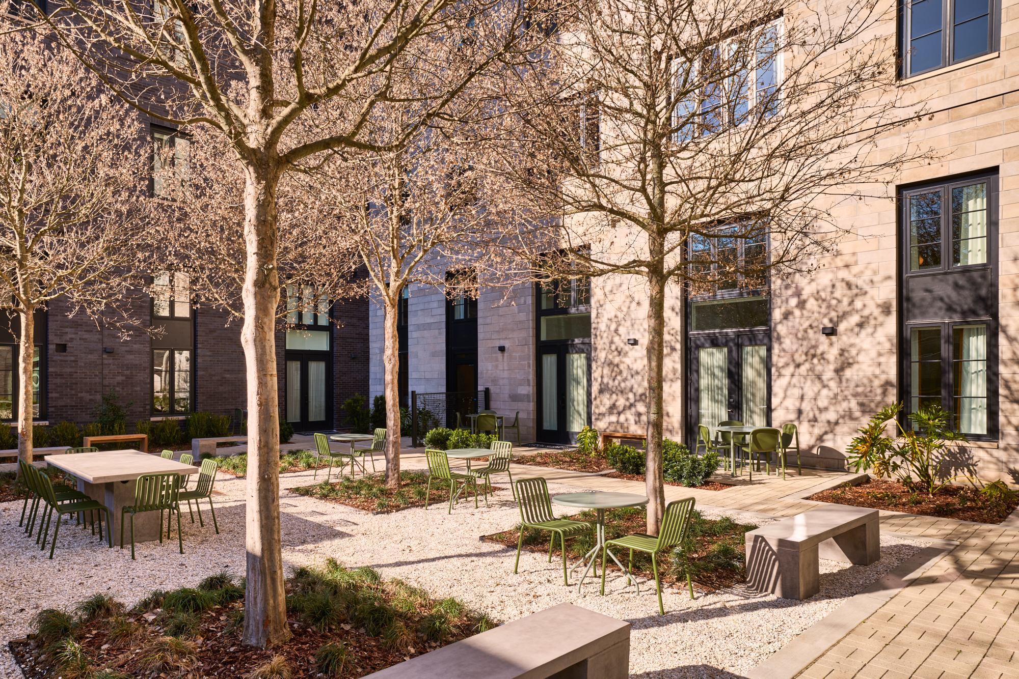 AMB_AnnSavannah_SAVDR_Courtyard2